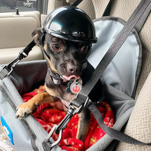 Enjoying Pet Helmet – Hard Hat for Small Dogs & Cats, Black